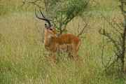 04-tanzania-09