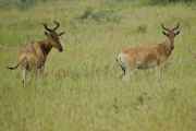 04-tanzania-10
