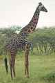 04-tanzania-16