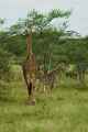 04-tanzania-17
