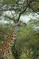 04-tanzania-18