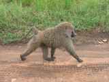 04-tanzania-20