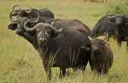 04-tanzania-23