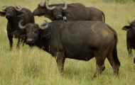04-tanzania-24