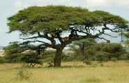 04-tanzania-27
