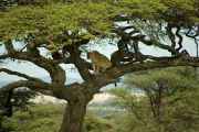04-tanzania-29