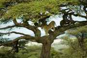 04-tanzania-30
