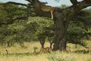 04-tanzania-31