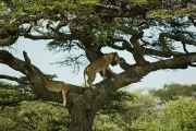 04-tanzania-32