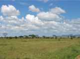 04-tanzania-36