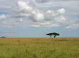 04-tanzania-37