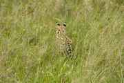 04-tanzania-39
