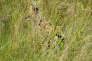 04-tanzania-40