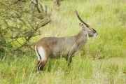 04-tanzania-42