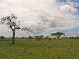 04-tanzania-43