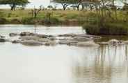 04-tanzania-47