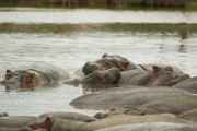 04-tanzania-49