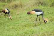04-tanzania-51