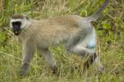 04-tanzania-55