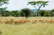 04-tanzania-56