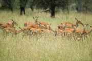 04-tanzania-57