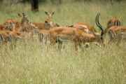 04-tanzania-58