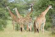 04-tanzania-59