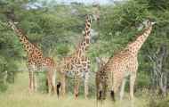 04-tanzania-60