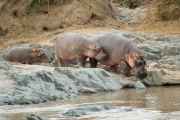 04-tanzania-90
