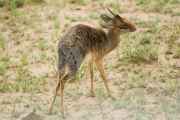 04-tanzania-91