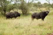 05-tanzania-04