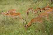 05-tanzania-07