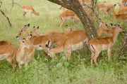 05-tanzania-08