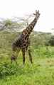 05-tanzania-10