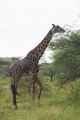 05-tanzania-12