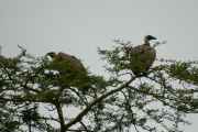 05-tanzania-17