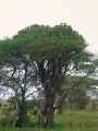 05-tanzania-23