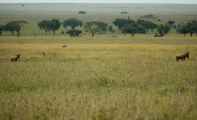 05-tanzania-24
