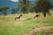 05-tanzania-25