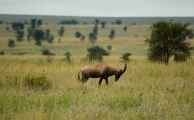 05-tanzania-26