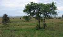 05-tanzania-27