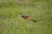 05-tanzania-28