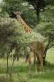 05-tanzania-30