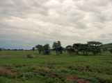 05-tanzania-31