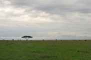 05-tanzania-32
