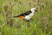 05-tanzania-35