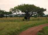 05-tanzania-36