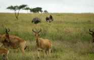 05-tanzania-38