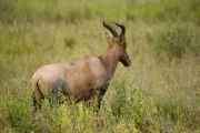05-tanzania-39