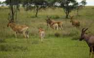 05-tanzania-42